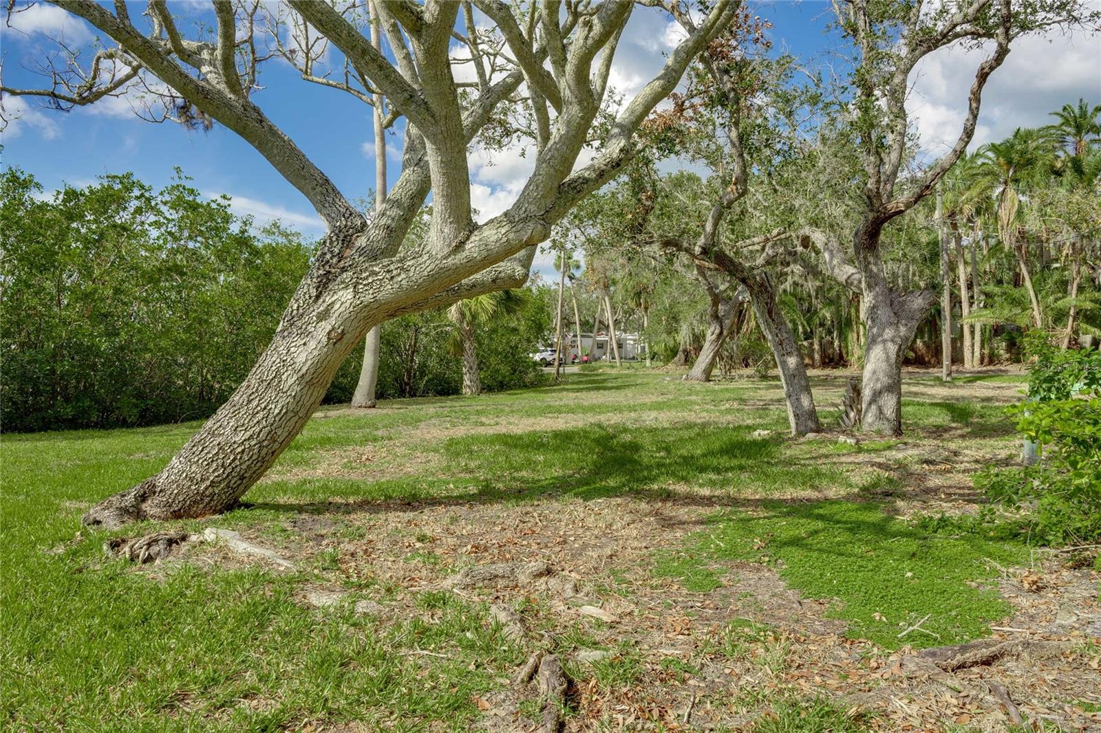 15106 MARY ST, LARGO, FL, 33774