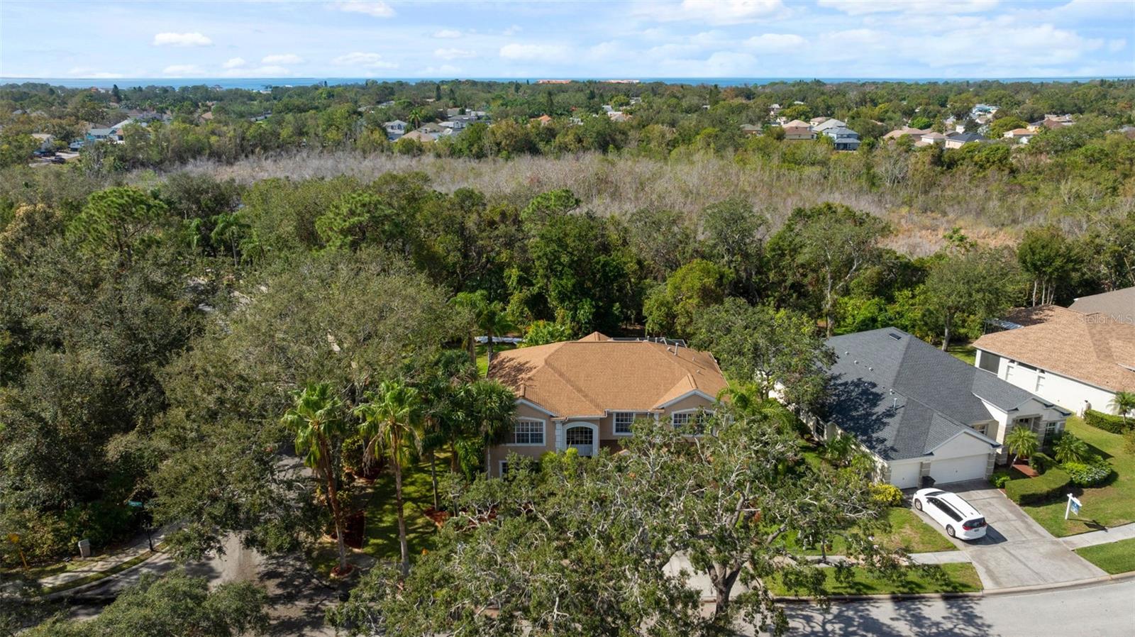 1858 LONGVIEW LN, TARPON SPRINGS, FL, 34689