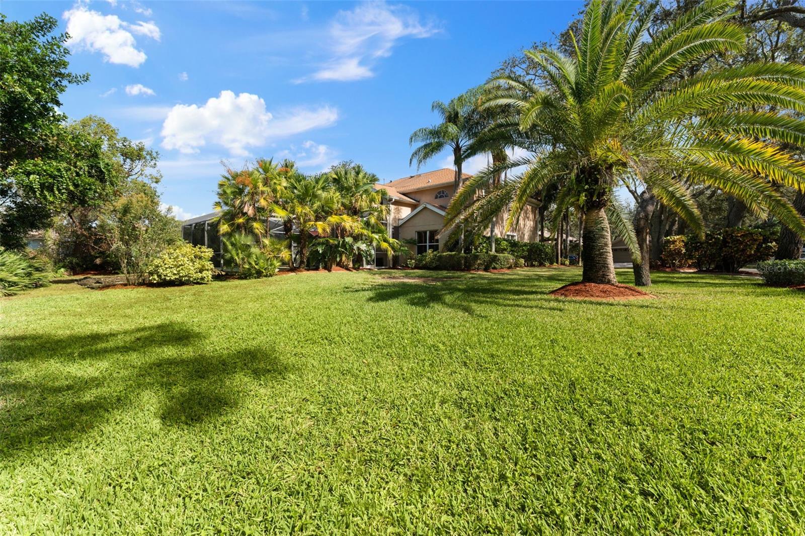 1858 LONGVIEW LN, TARPON SPRINGS, FL, 34689