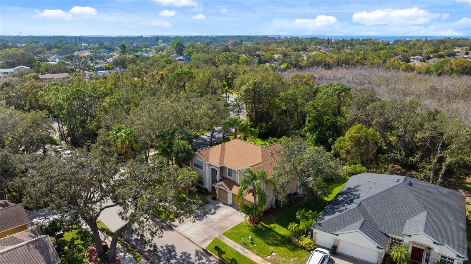 1858 LONGVIEW LN, TARPON SPRINGS, FL, 34689