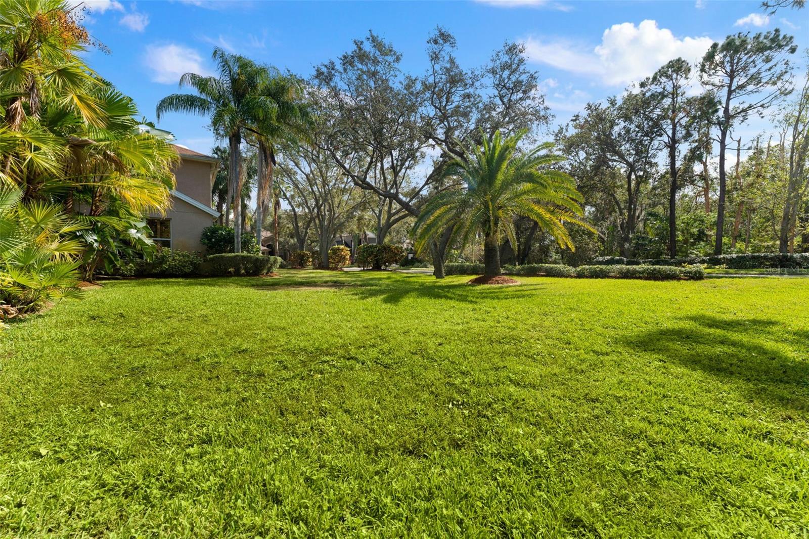 1858 LONGVIEW LN, TARPON SPRINGS, FL, 34689