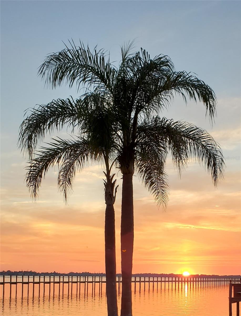 2107 PALMA SOLA BLVD #94, BRADENTON, FL, 34209