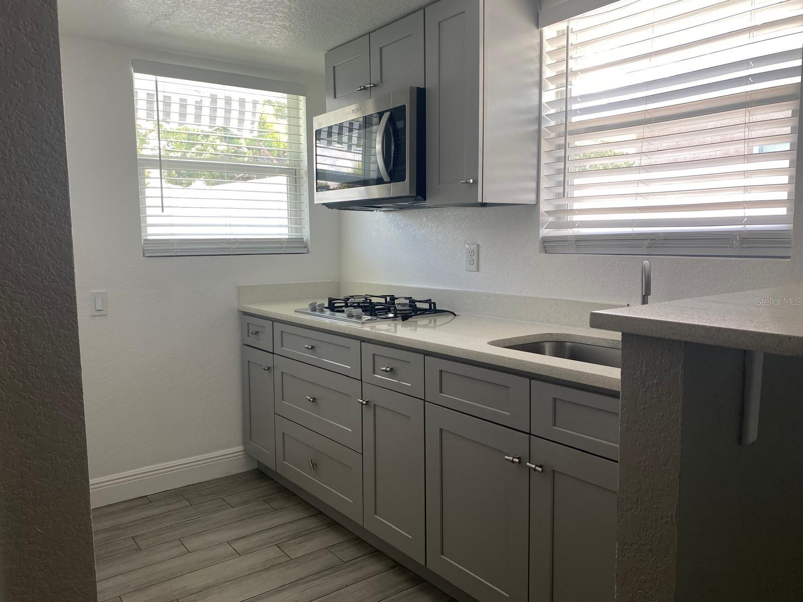 1119 NANA AVE, ORLANDO, FL, 32809