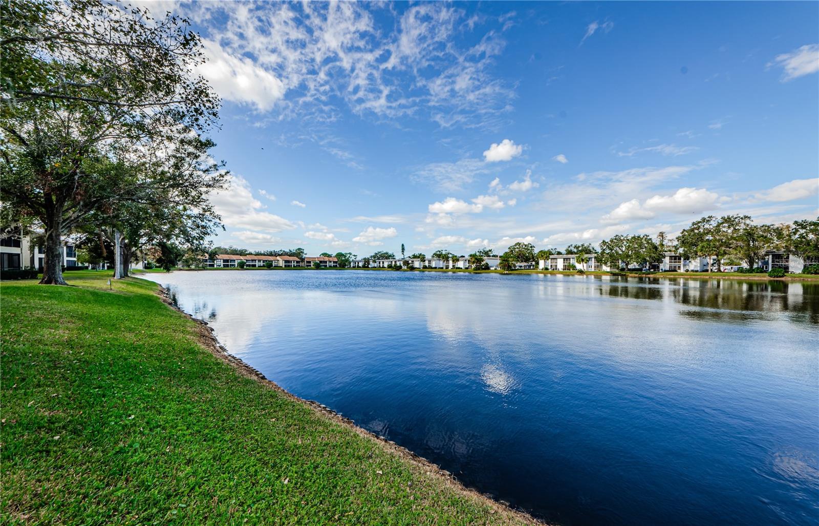 220 WOODLAKE WYNDE #220, OLDSMAR, FL, 34677