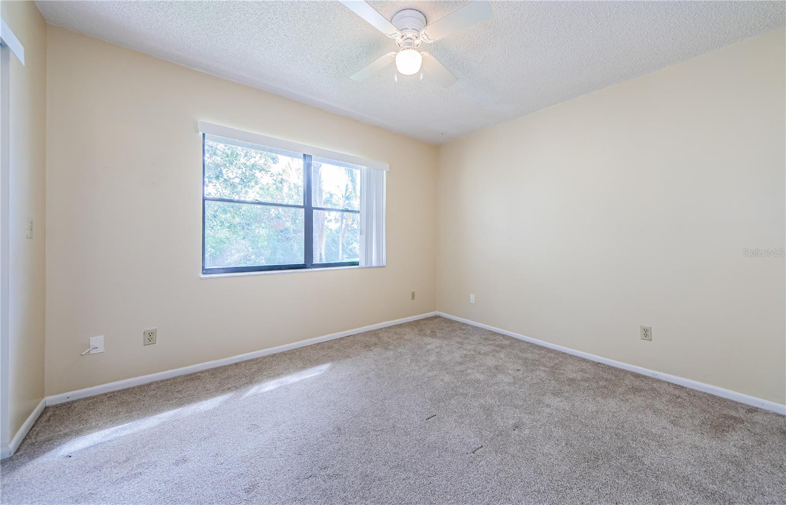 220 WOODLAKE WYNDE #220, OLDSMAR, FL, 34677