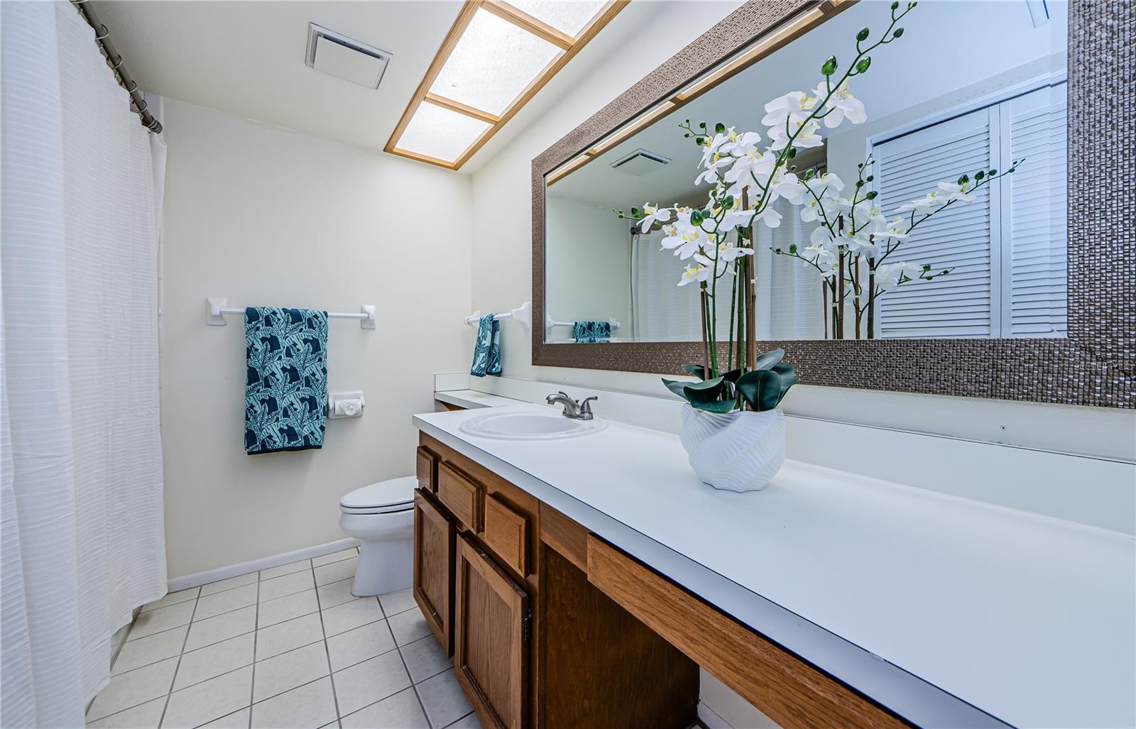 220 WOODLAKE WYNDE #220, OLDSMAR, FL, 34677