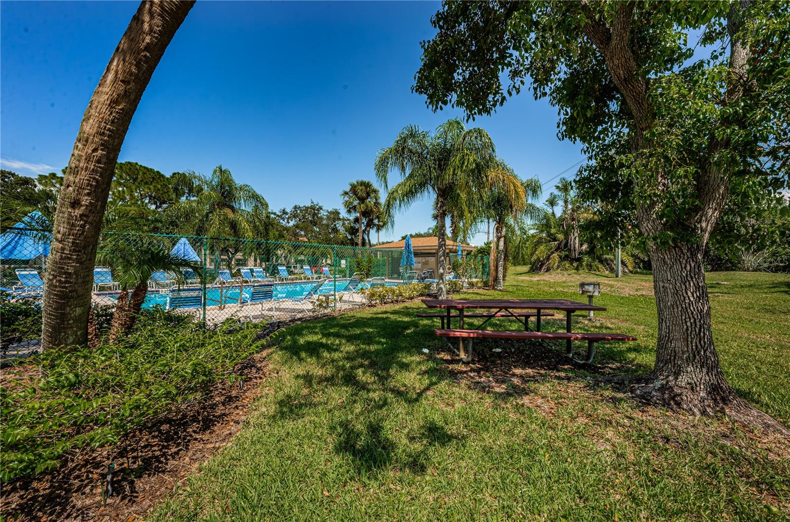 220 WOODLAKE WYNDE #220, OLDSMAR, FL, 34677