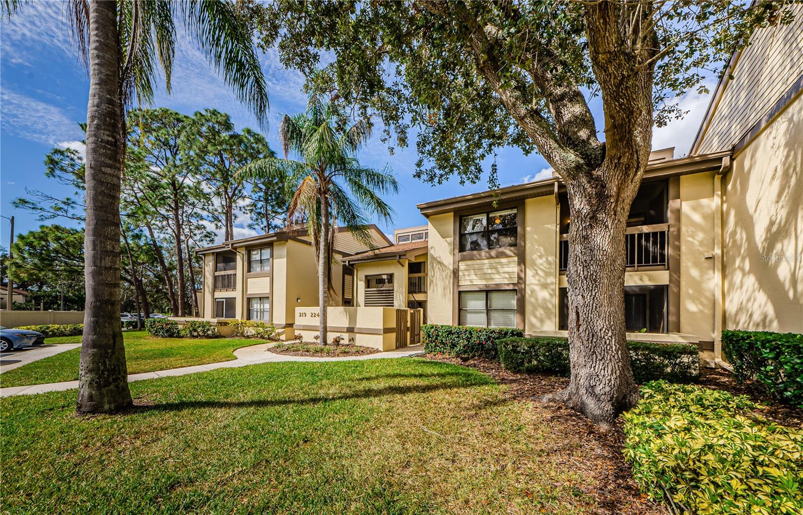 220 WOODLAKE WYNDE #220, OLDSMAR, FL, 34677