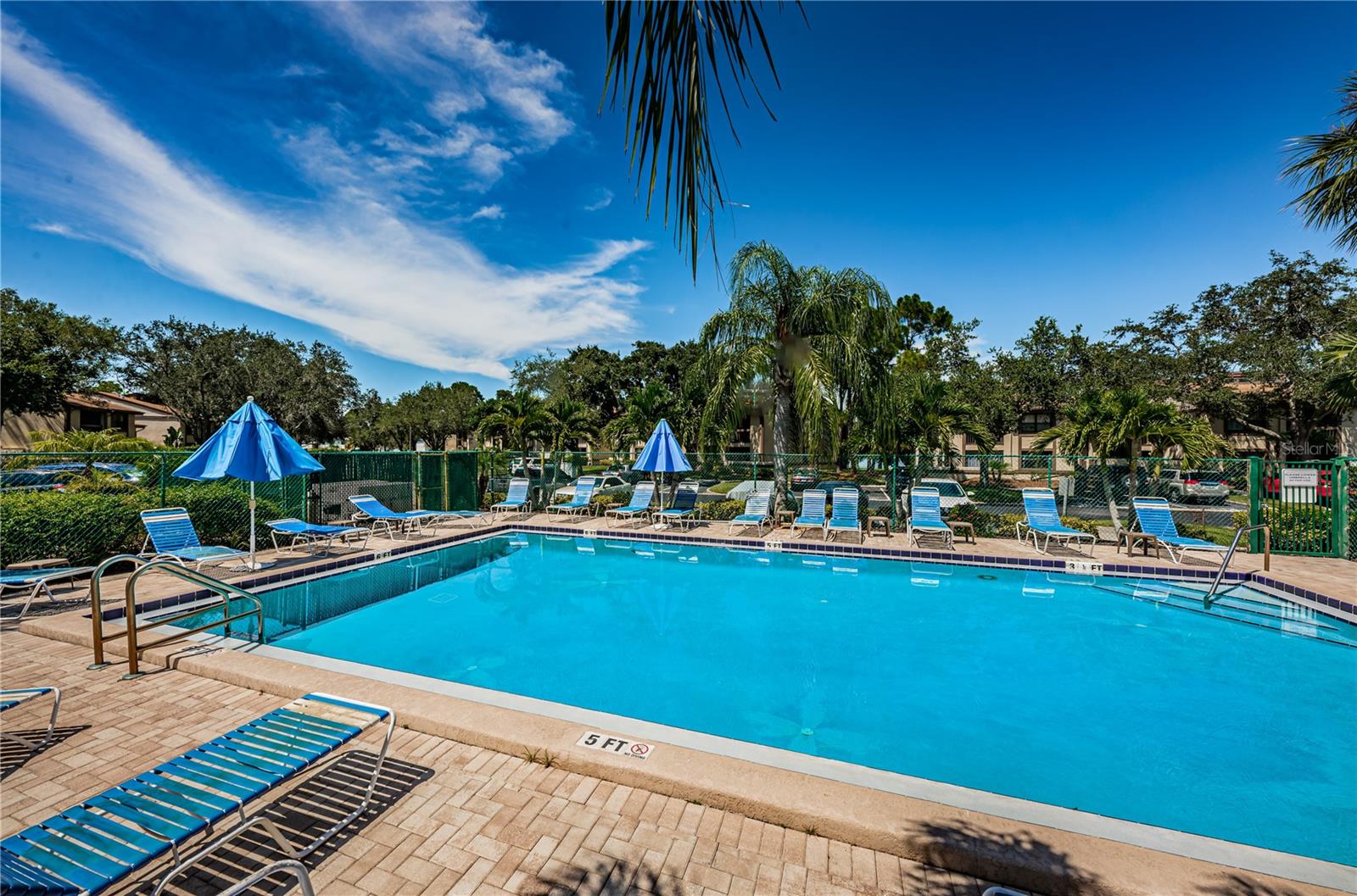 220 WOODLAKE WYNDE #220, OLDSMAR, FL, 34677