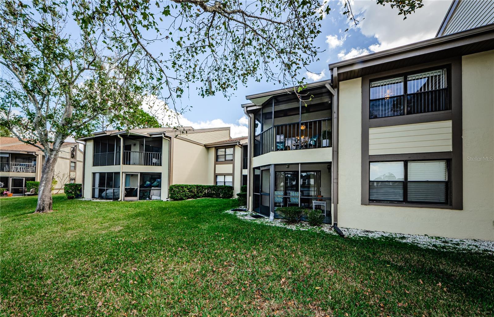 220 WOODLAKE WYNDE #220, OLDSMAR, FL, 34677