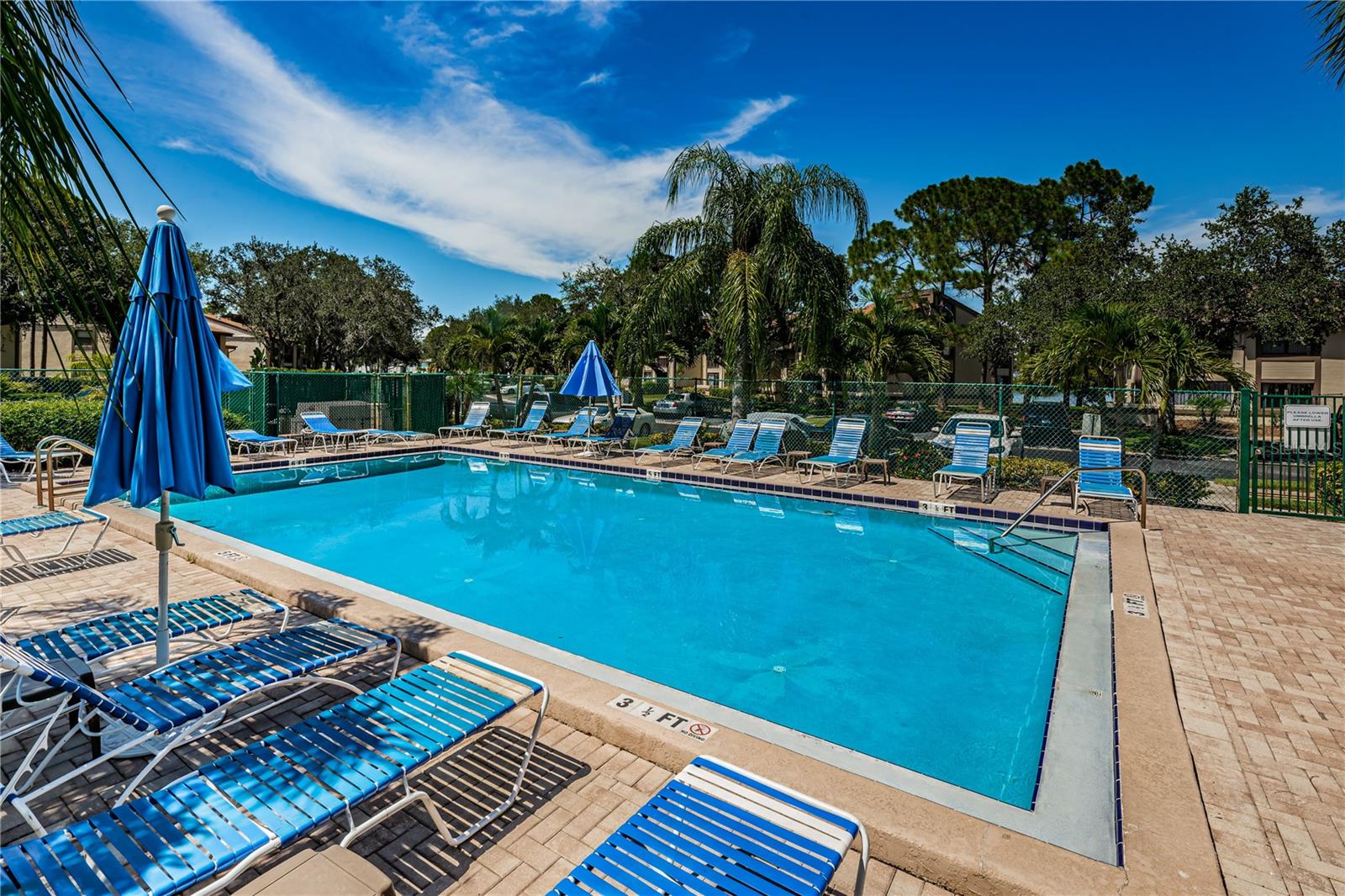 220 WOODLAKE WYNDE #220, OLDSMAR, FL, 34677
