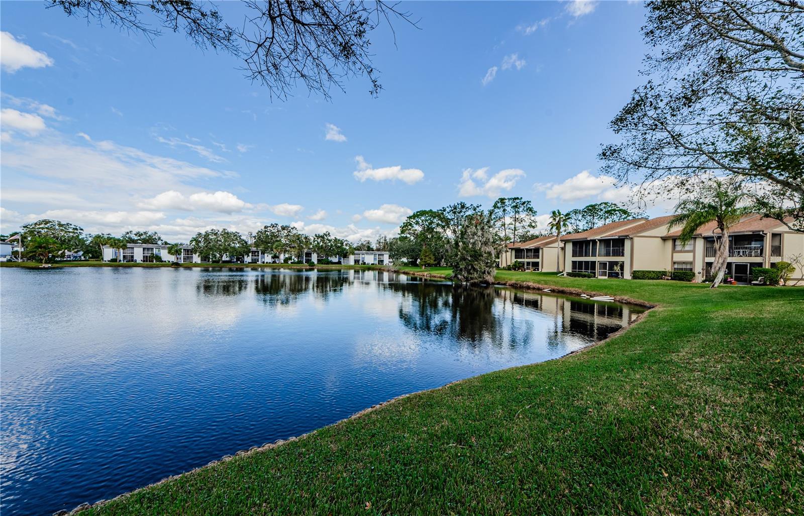220 WOODLAKE WYNDE #220, OLDSMAR, FL, 34677