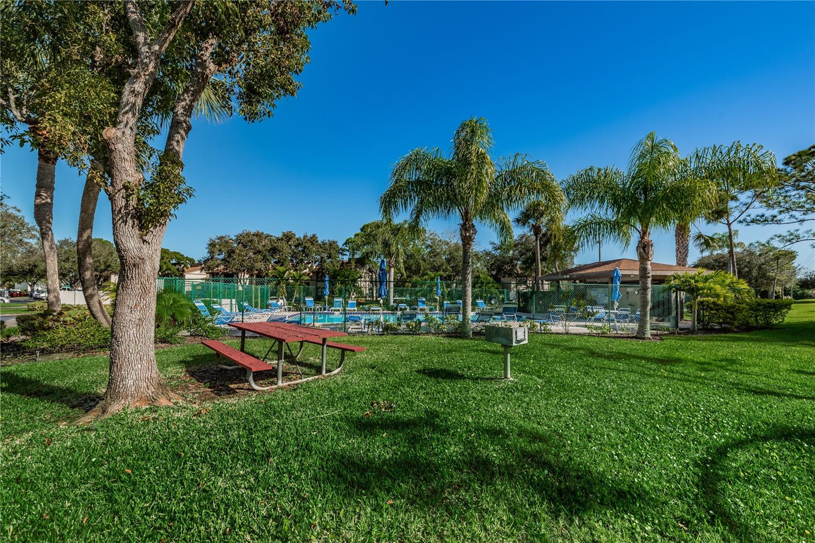 220 WOODLAKE WYNDE #220, OLDSMAR, FL, 34677