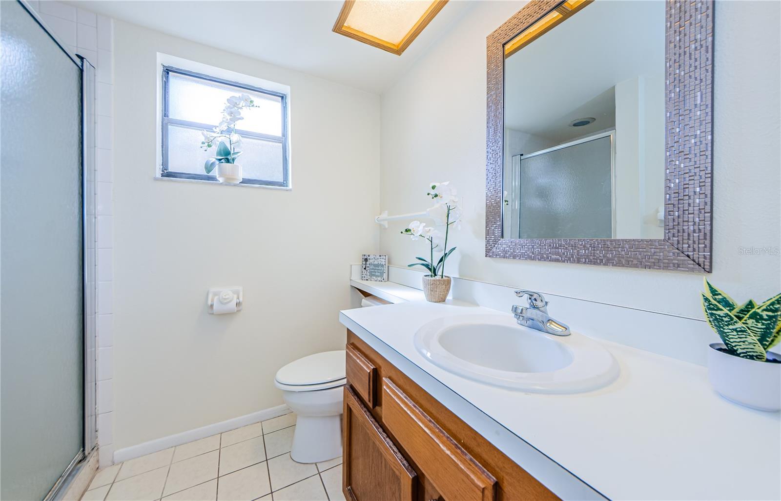 220 WOODLAKE WYNDE #220, OLDSMAR, FL, 34677