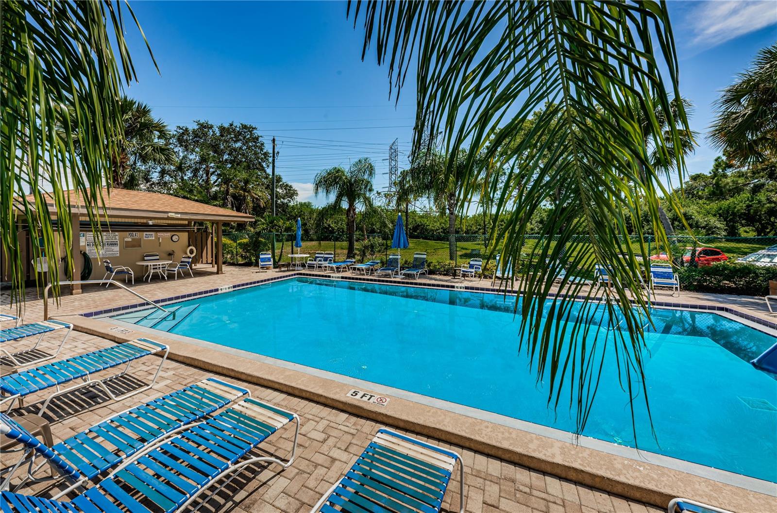 220 WOODLAKE WYNDE #220, OLDSMAR, FL, 34677