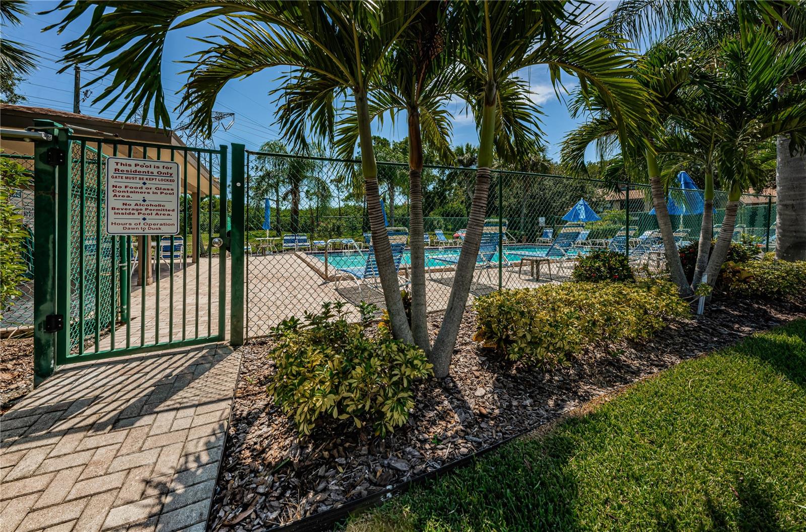 220 WOODLAKE WYNDE #220, OLDSMAR, FL, 34677