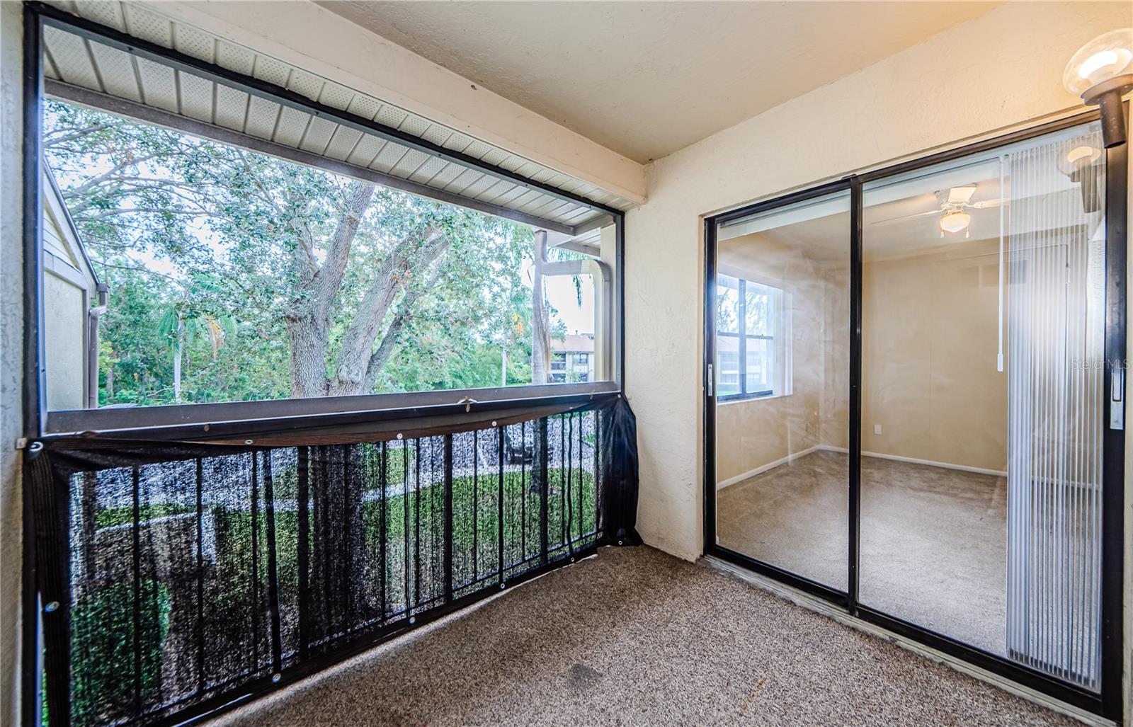 220 WOODLAKE WYNDE #220, OLDSMAR, FL, 34677