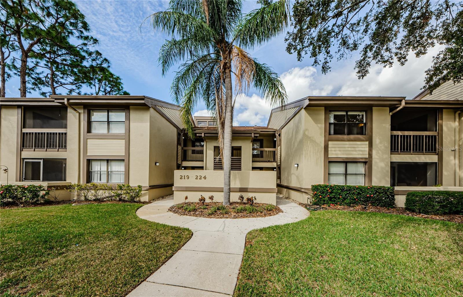 220 WOODLAKE WYNDE #220, OLDSMAR, FL, 34677