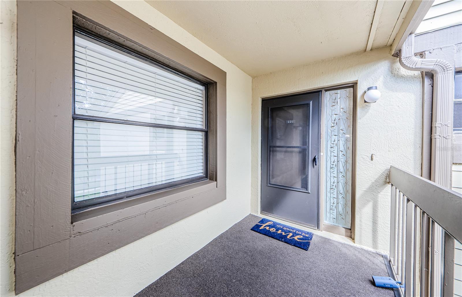220 WOODLAKE WYNDE #220, OLDSMAR, FL, 34677