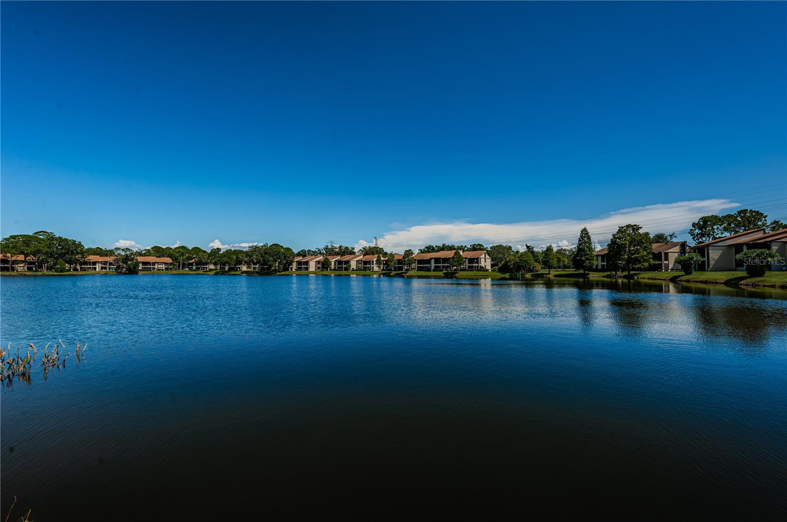 220 WOODLAKE WYNDE #220, OLDSMAR, FL, 34677