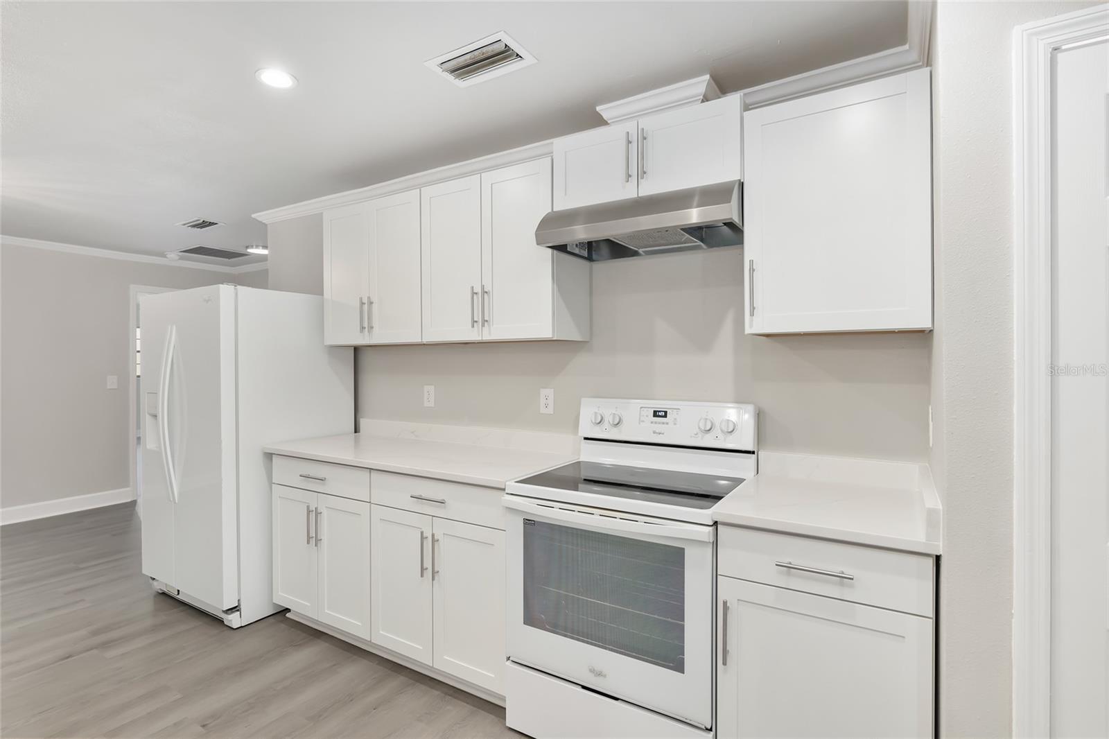 3933 SE 17TH LN, OCALA, FL, 34471