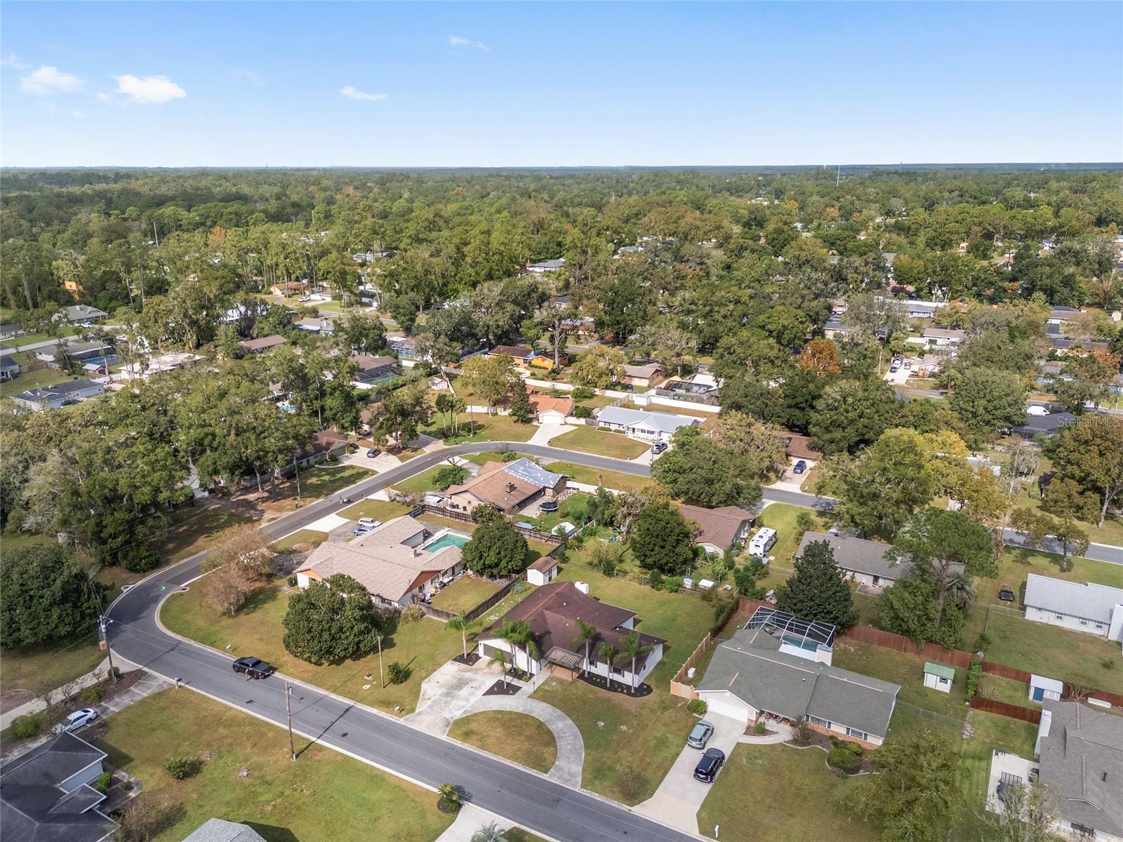 3933 SE 17TH LN, OCALA, FL, 34471