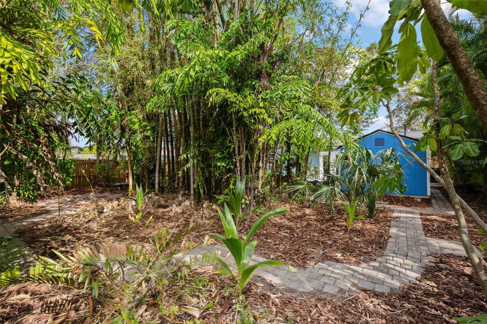 2004 DOUGLAS AVE, DUNEDIN, FL, 34698