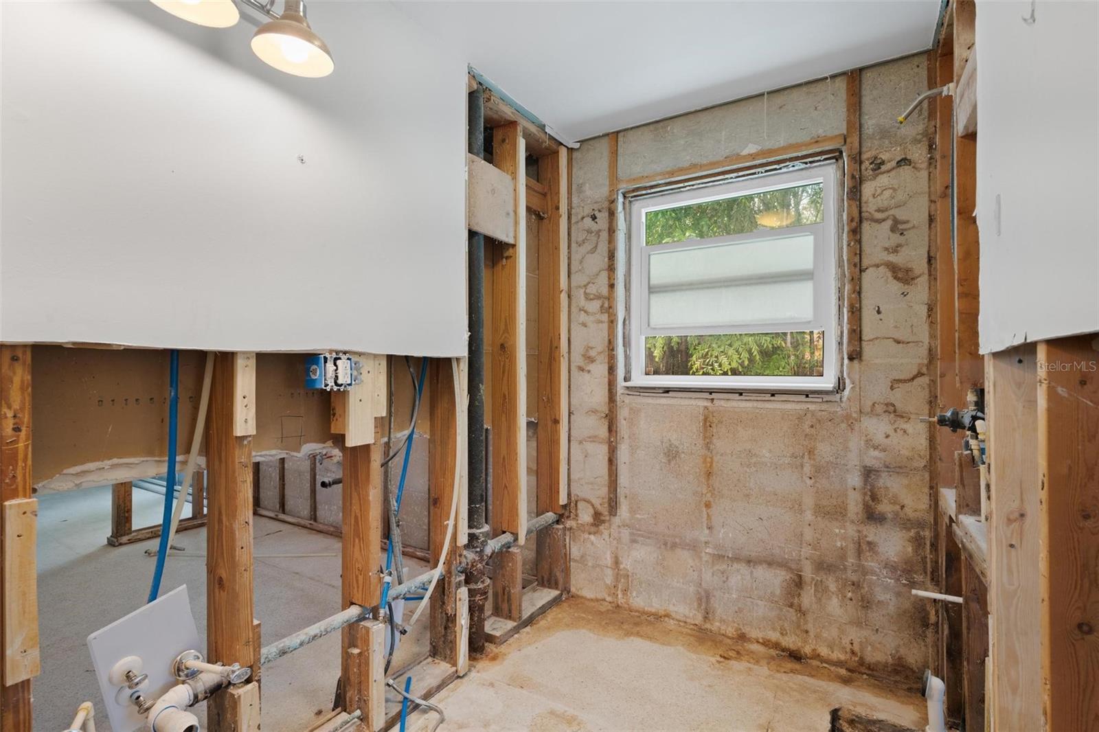 2004 DOUGLAS AVE, DUNEDIN, FL, 34698