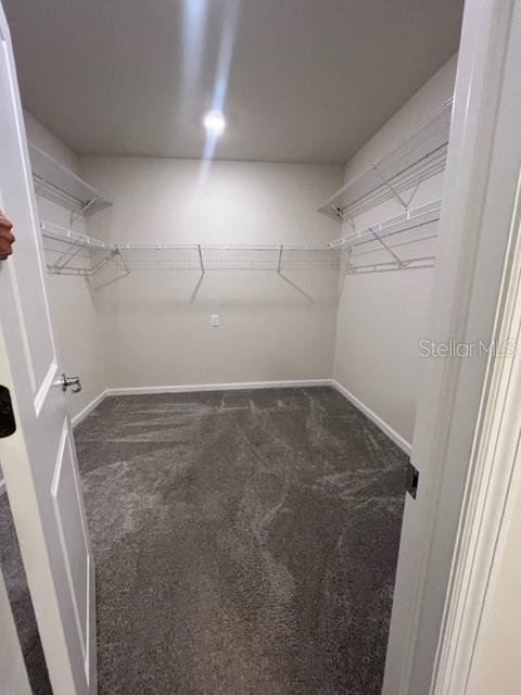 16001 SHOEBUTTON CT, NORTH FORT MYERS, FL, 33917