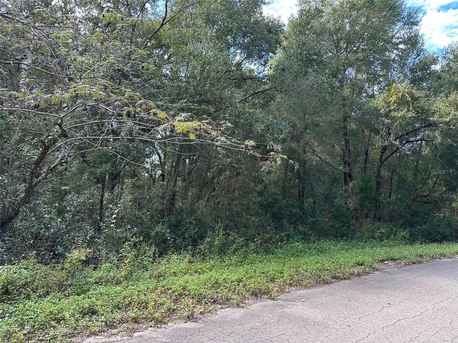 TBD GUAVA TERRACE PASS, OCKLAWAHA, FL, 32179