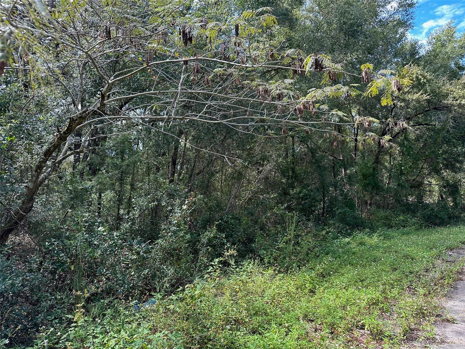 TBD GUAVA TERRACE PASS, OCKLAWAHA, FL, 32179