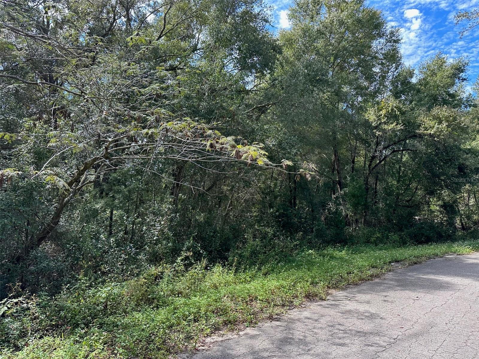 TBD GUAVA TERRACE PASS, OCKLAWAHA, FL, 32179