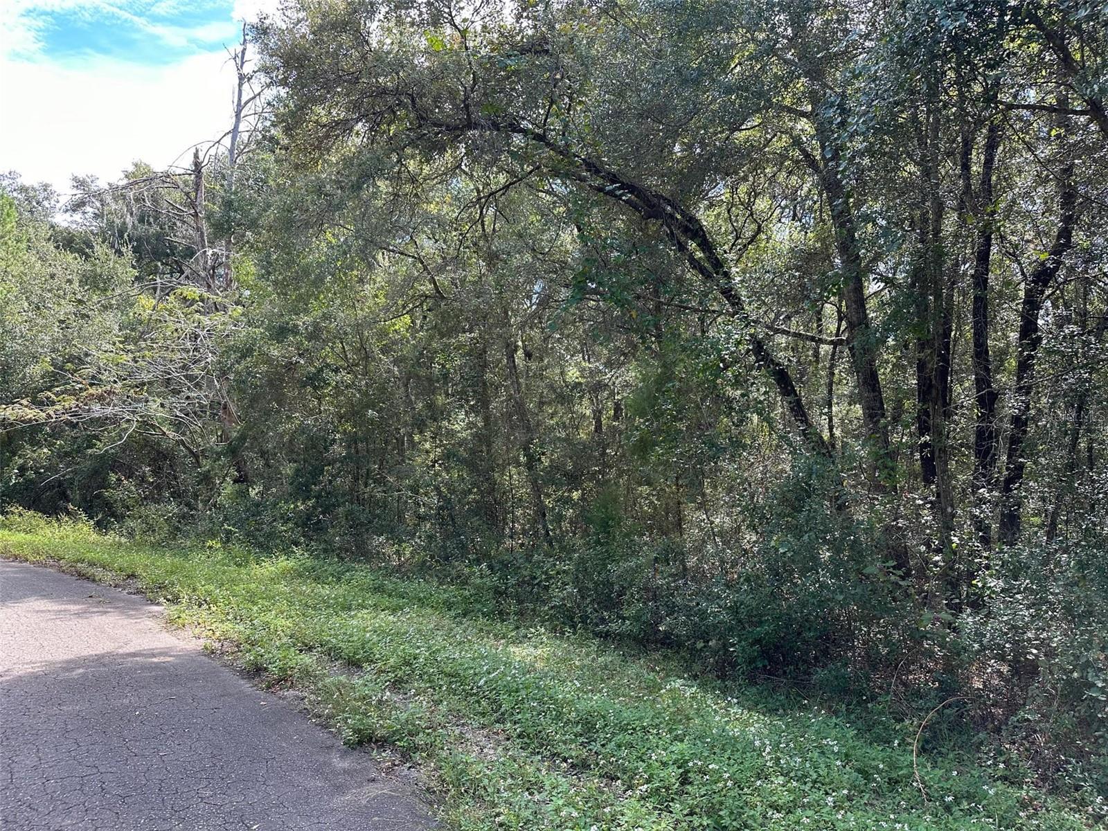 TBD GUAVA TERRACE PASS, OCKLAWAHA, FL, 32179