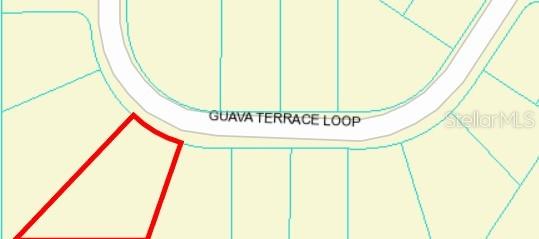 TBD GUAVA TERRACE PASS, OCKLAWAHA, FL, 32179