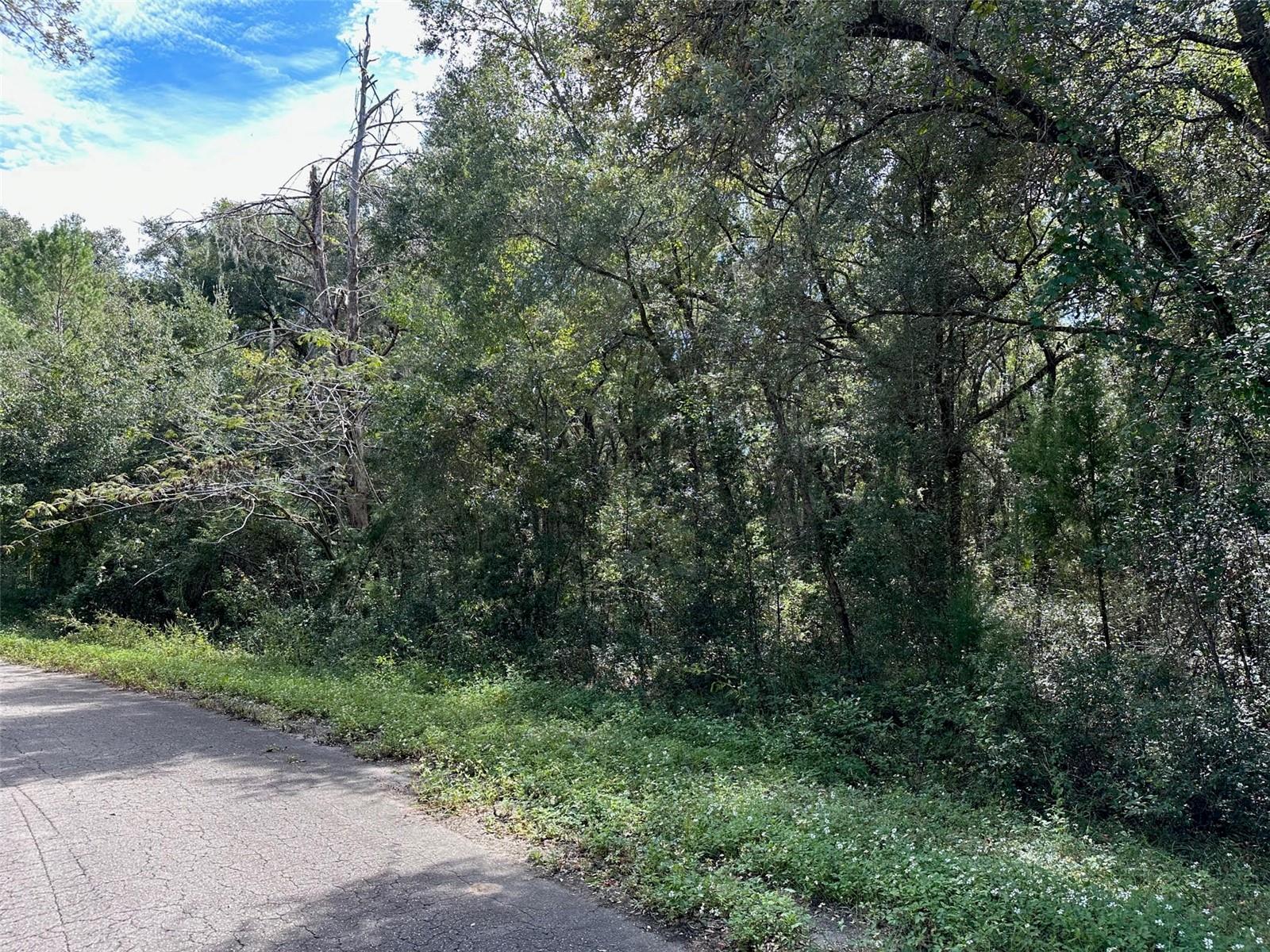 TBD GUAVA TERRACE PASS, OCKLAWAHA, FL, 32179