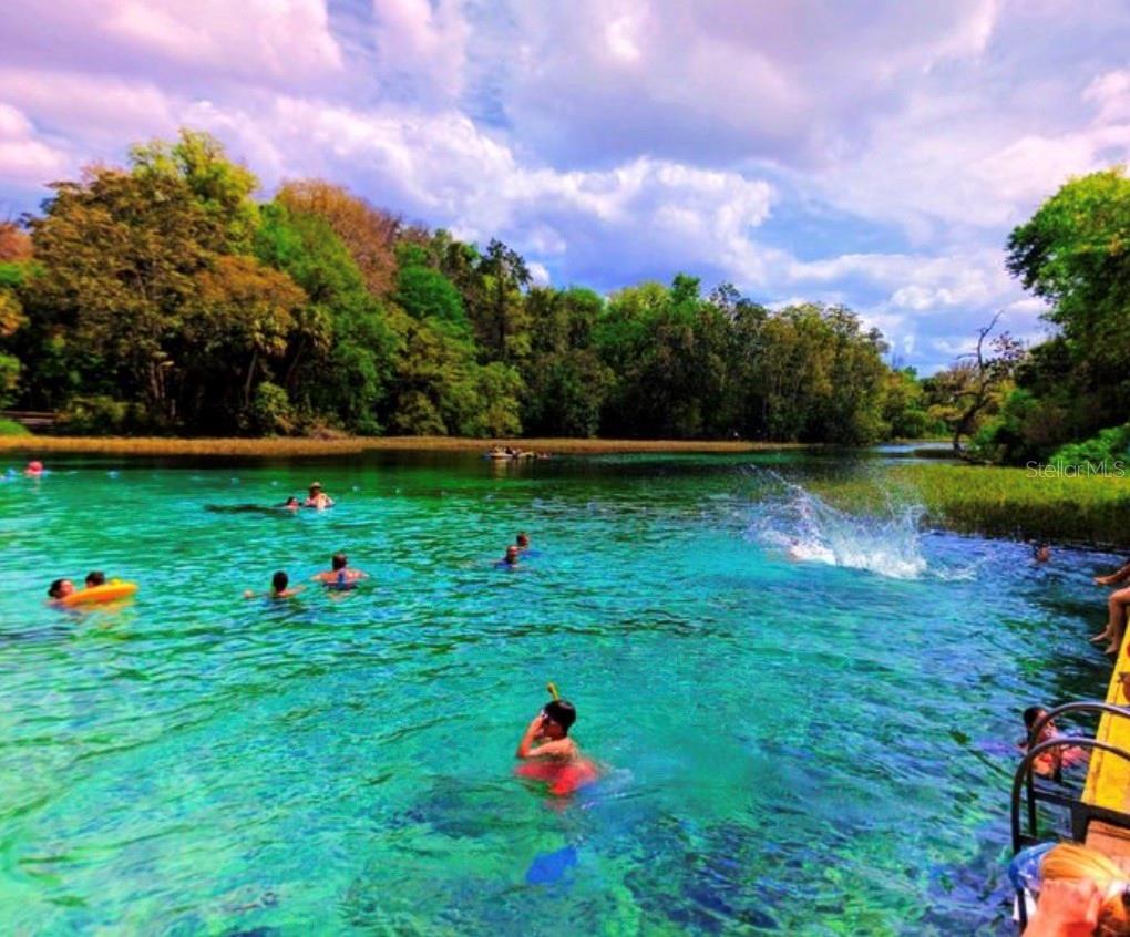 3140 NE 101ST CT, SILVER SPRINGS, FL, 34488