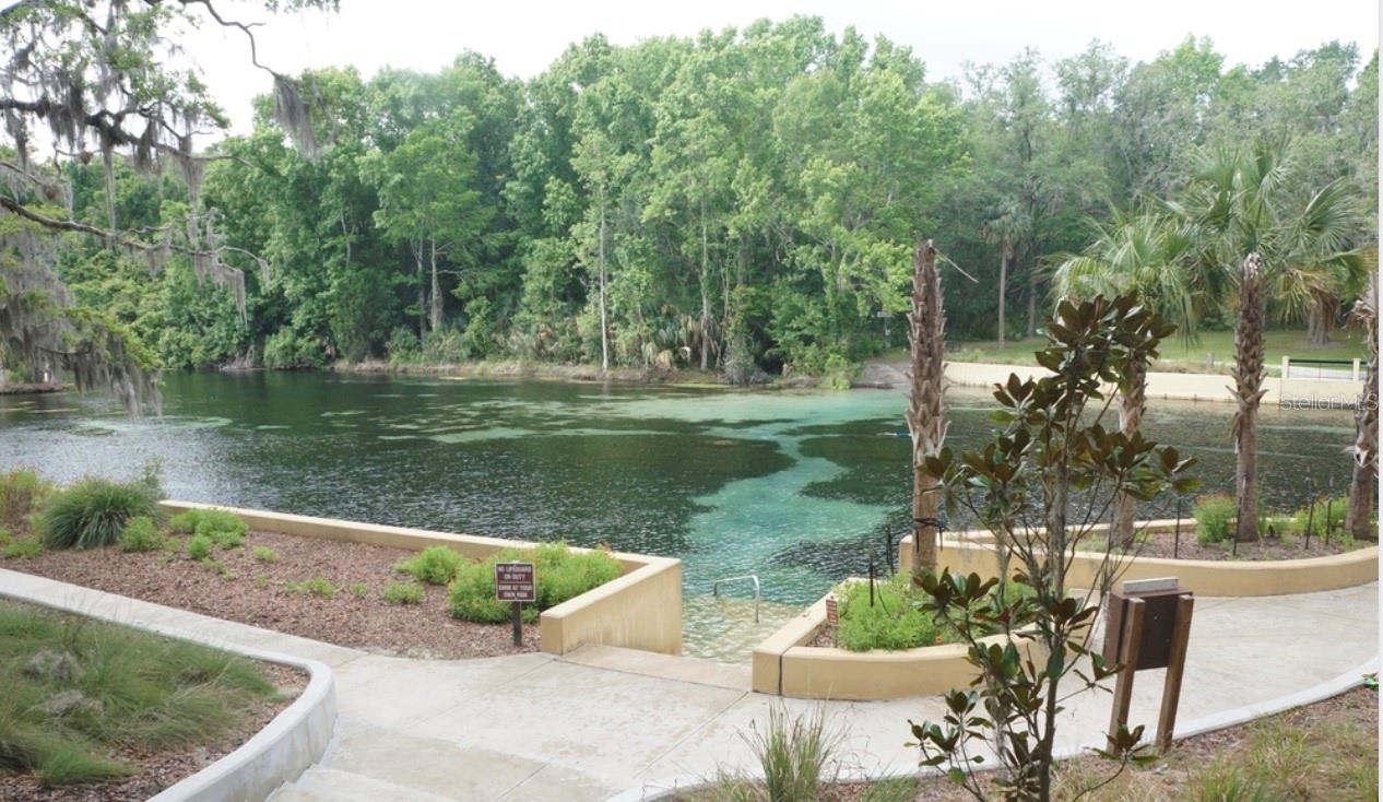 3140 NE 101ST CT, SILVER SPRINGS, FL, 34488