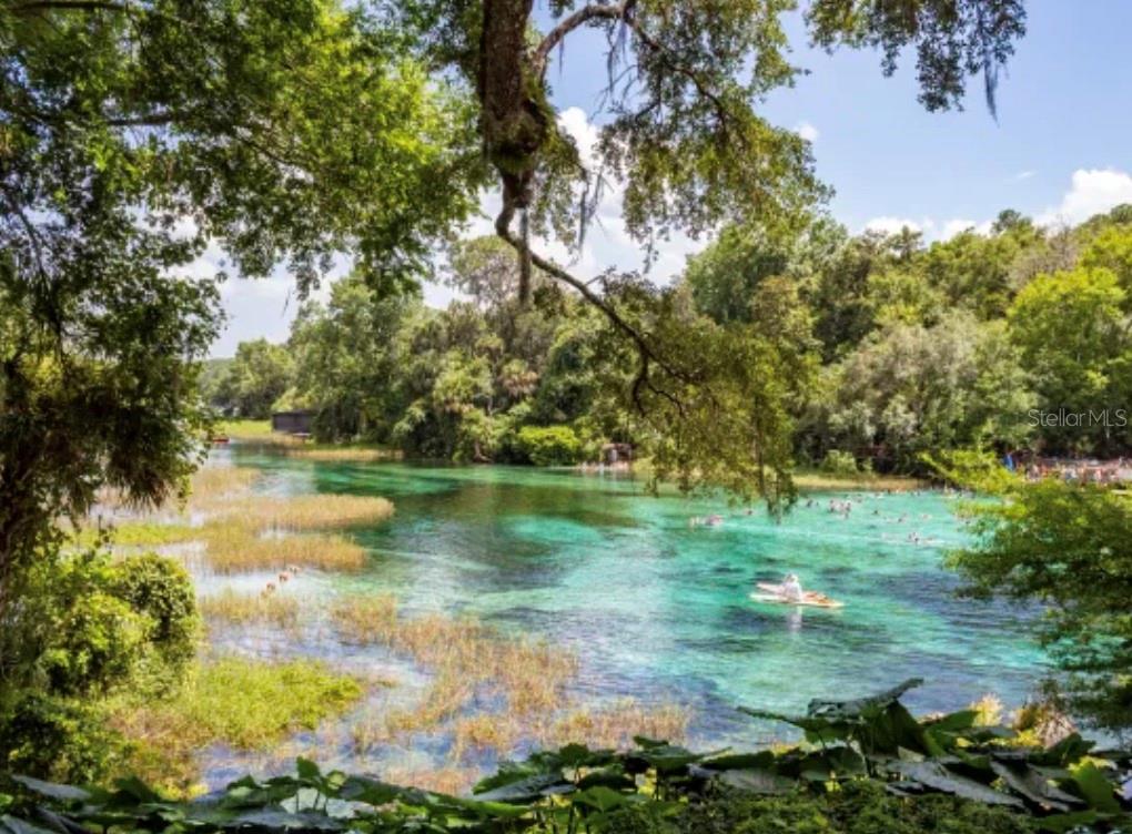 3140 NE 101ST CT, SILVER SPRINGS, FL, 34488