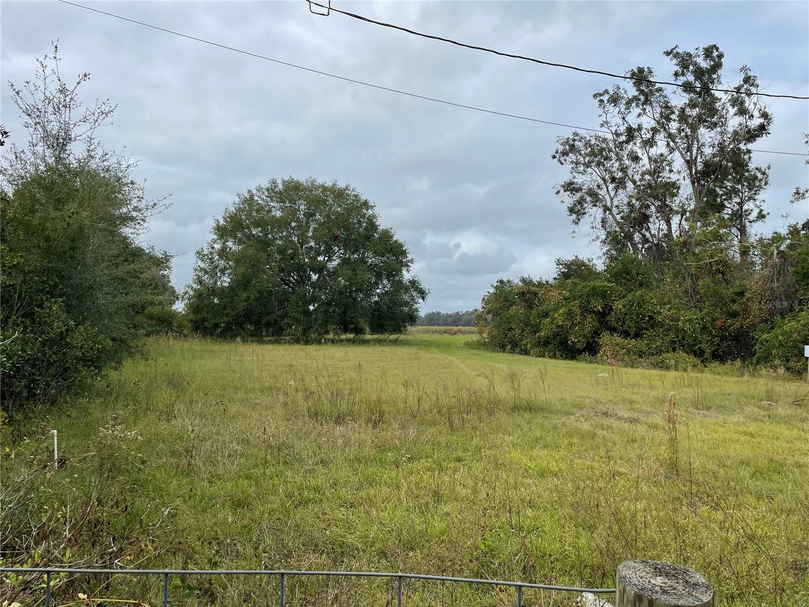 251 NW 152ND PL, TRENTON, FL, 32693