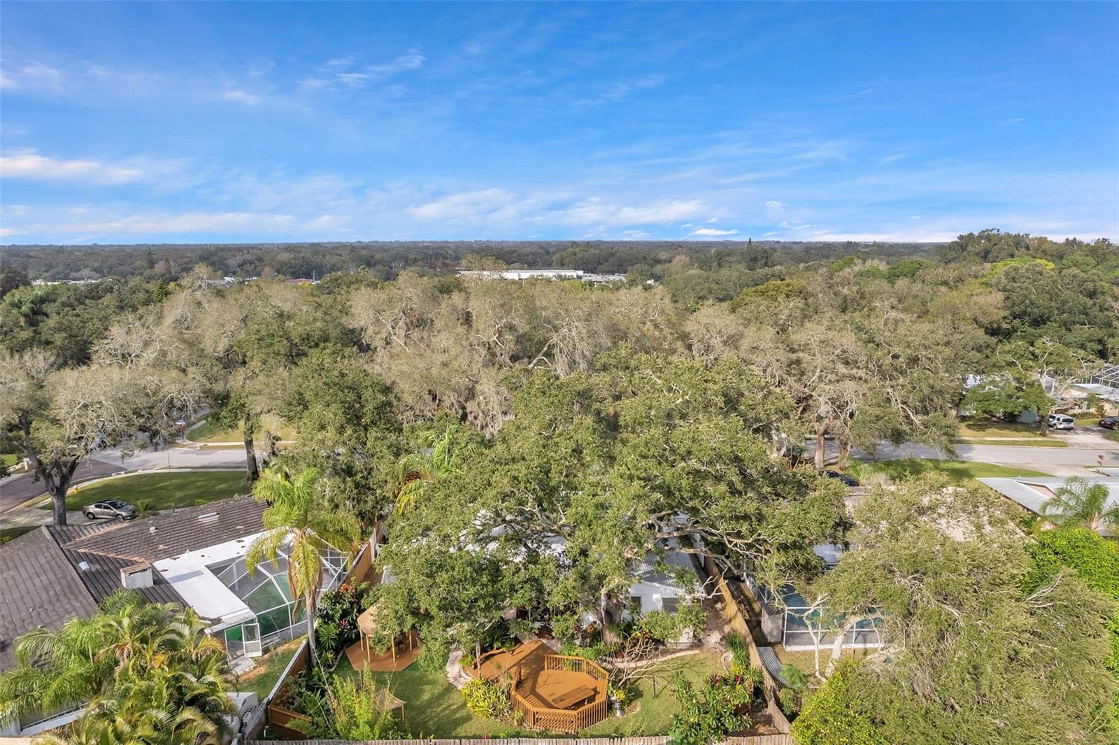 2217 BUENA VISTA, CLEARWATER, FL, 33764