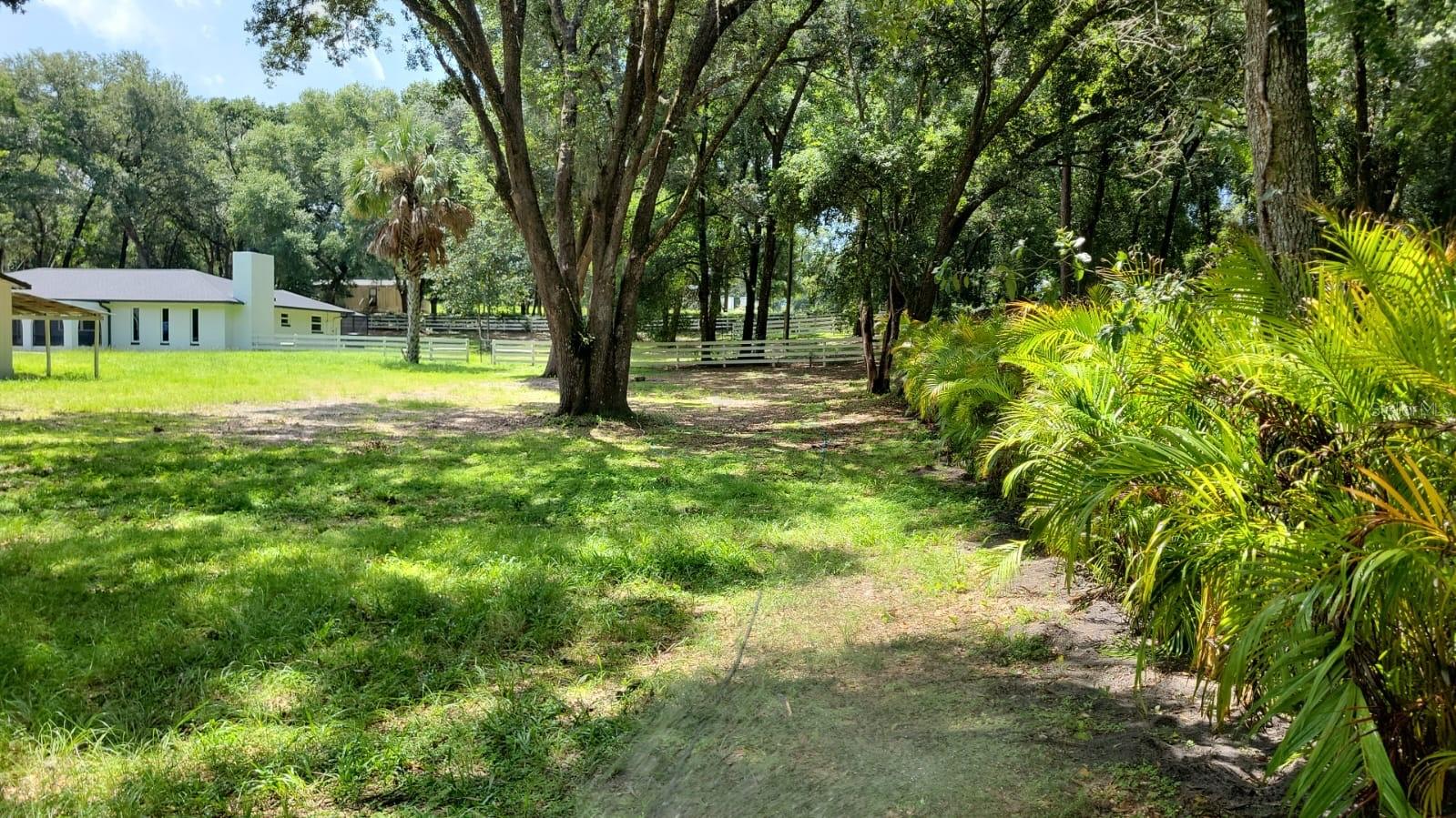 16742 SE 165TH AVE, WEIRSDALE, FL, 32195