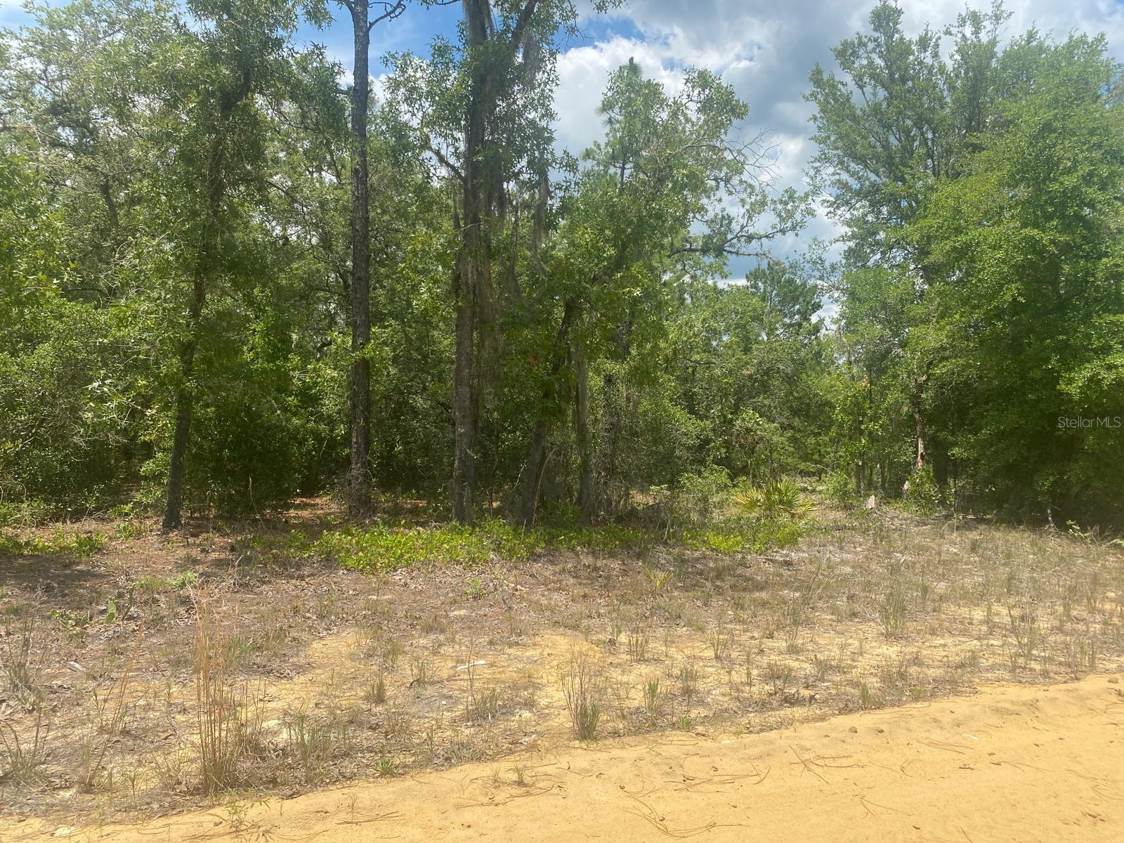 MAE ST, INTERLACHEN, FL, 32148