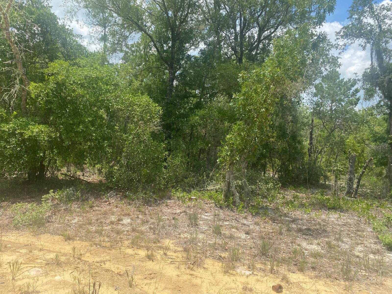 MAE ST, INTERLACHEN, FL, 32148