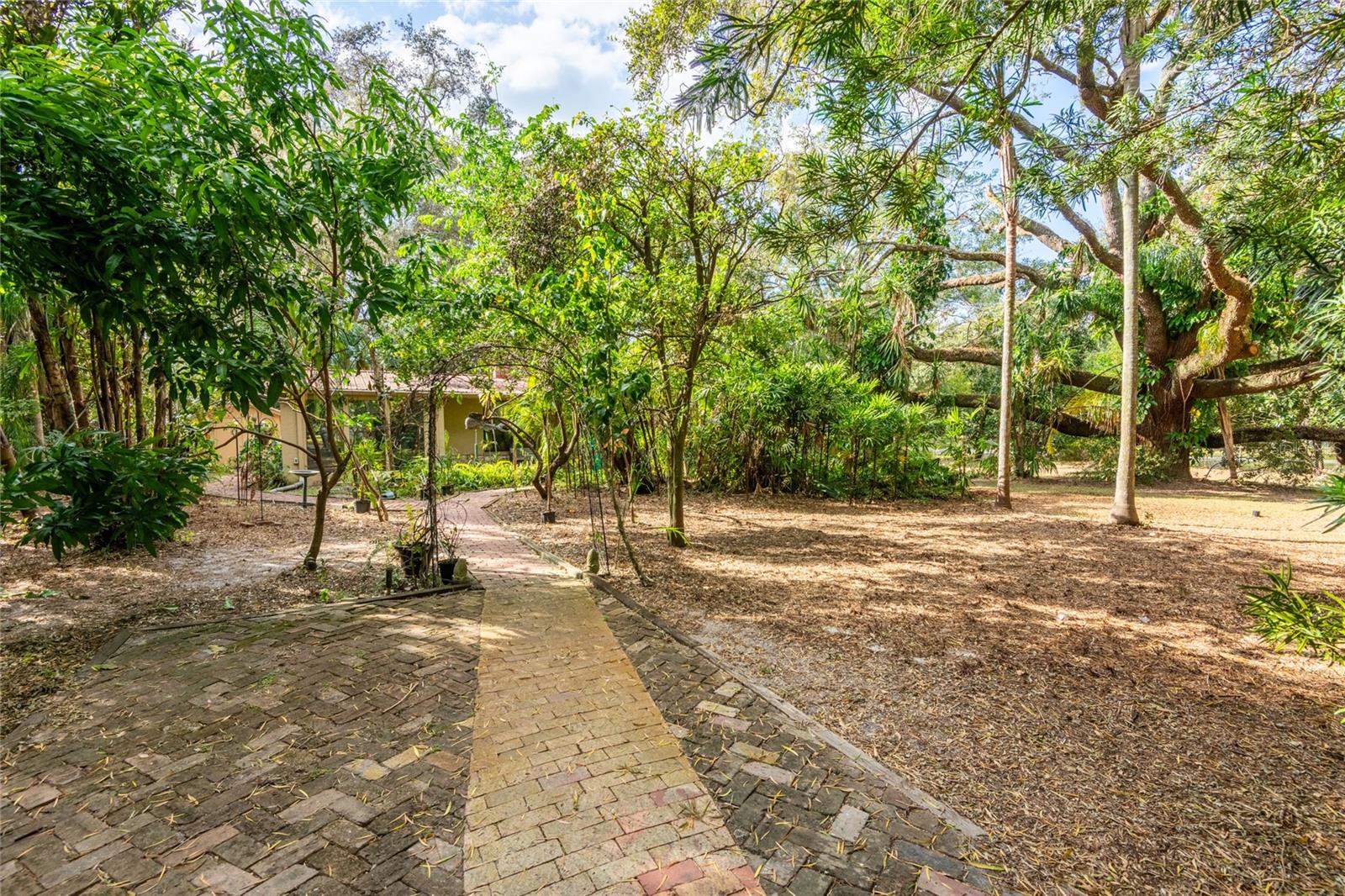 14824 N 23RD ST, LUTZ, FL, 33549