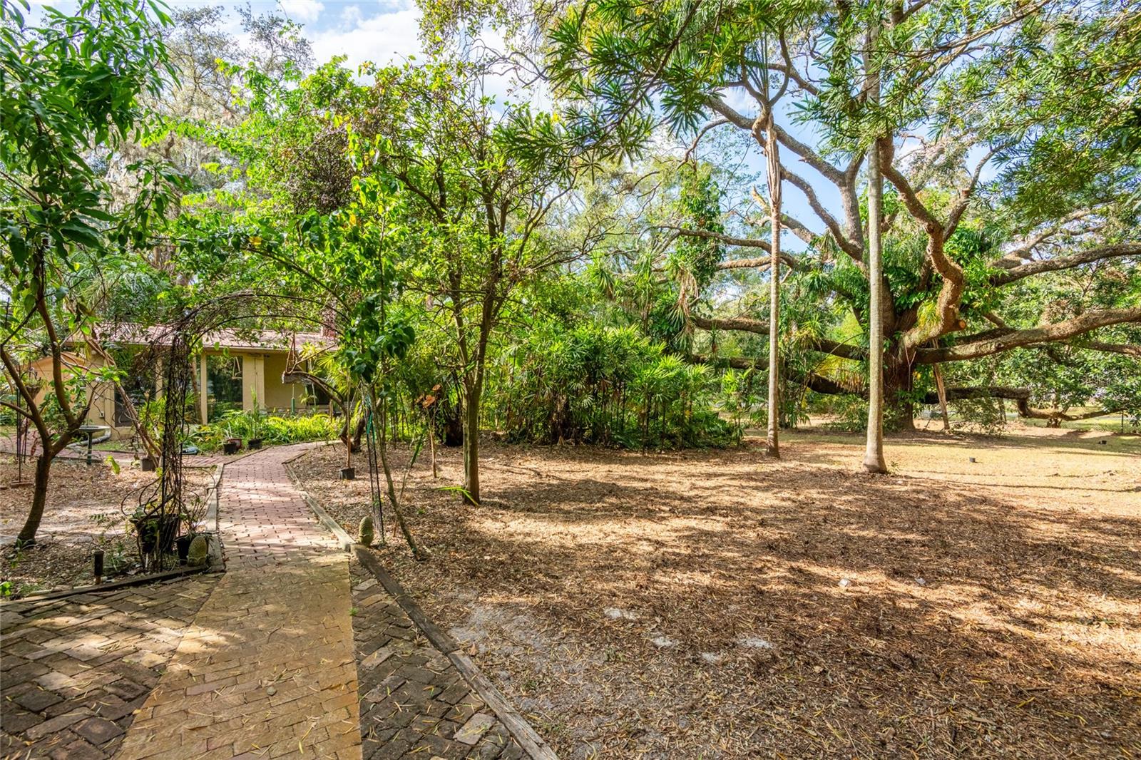 14824 N 23RD ST, LUTZ, FL, 33549