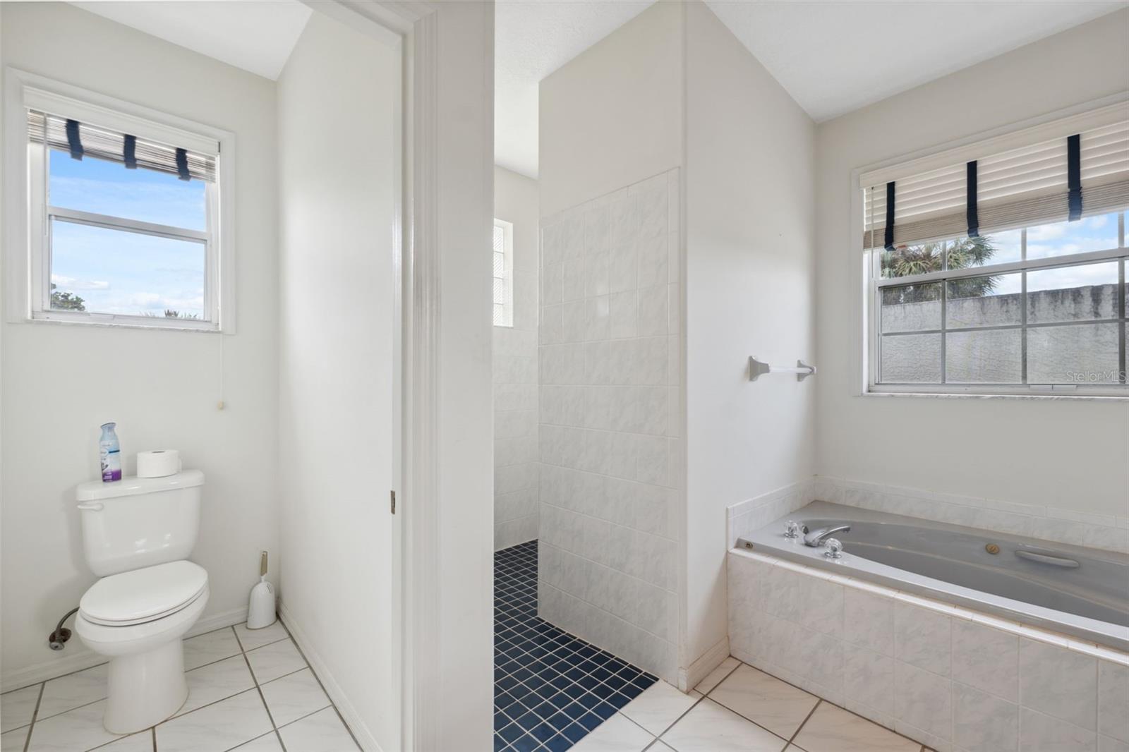 785 N HAMBLETONIAN DR, INVERNESS, FL, 34453