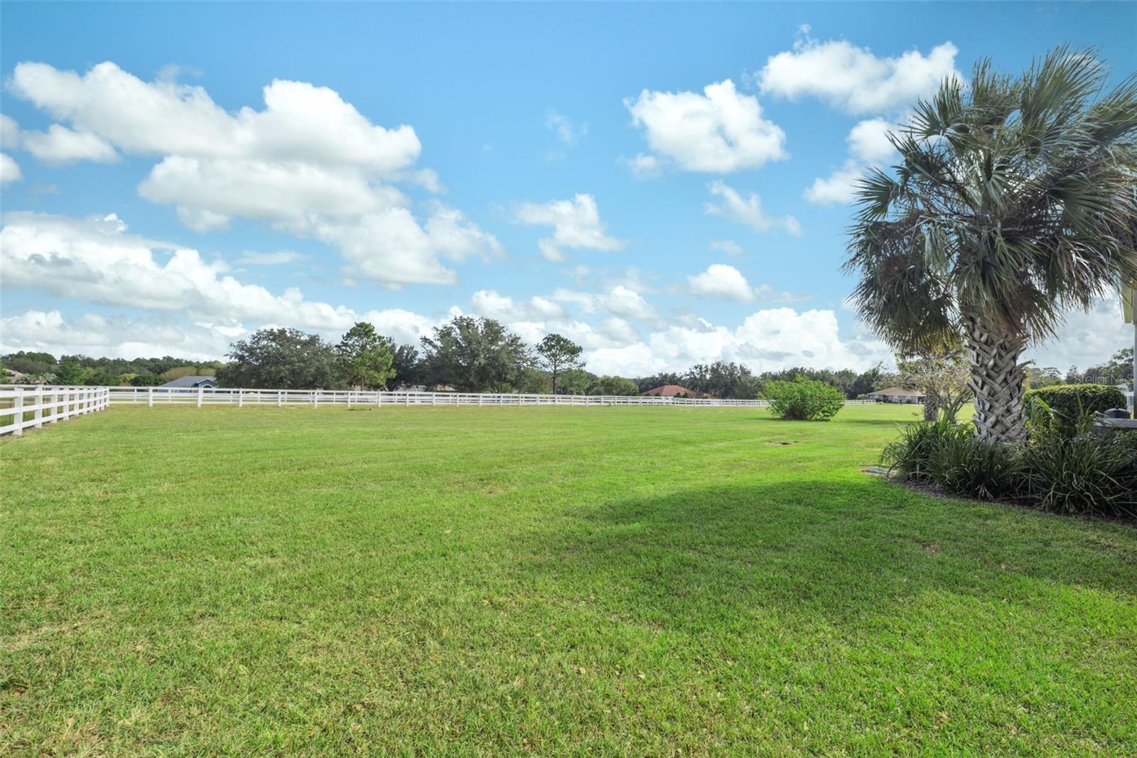 785 N HAMBLETONIAN DR, INVERNESS, FL, 34453