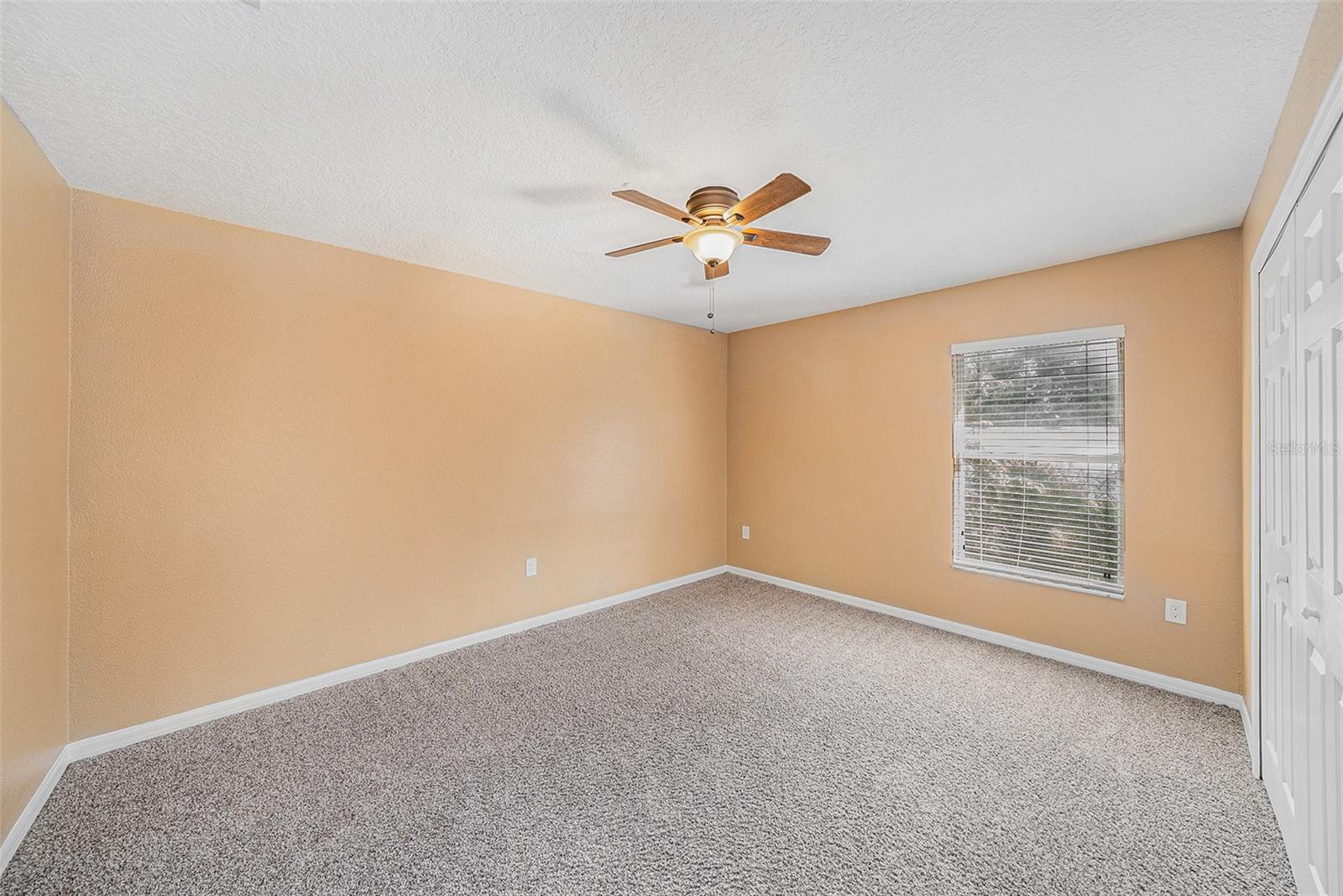 8507 N ELMER ST, TAMPA, FL, 33604