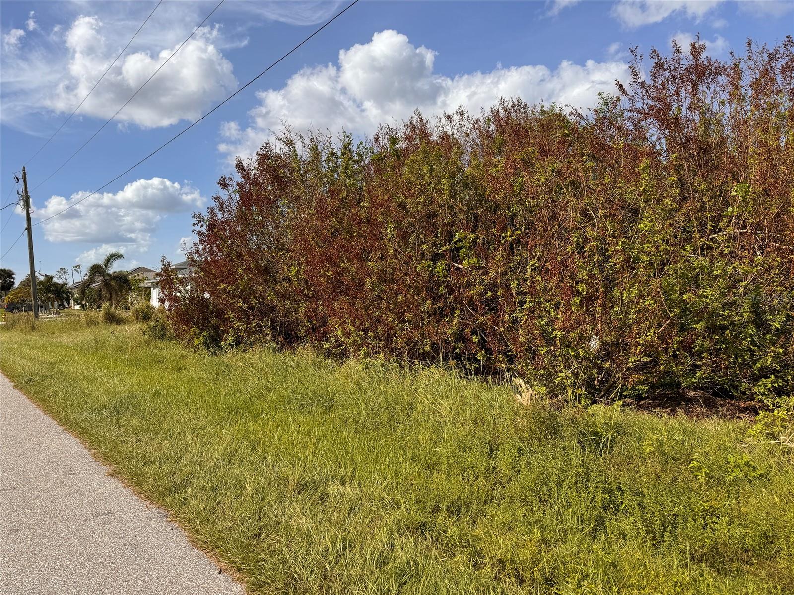 12422 QUINLAN AVE, PORT CHARLOTTE, FL, 33981