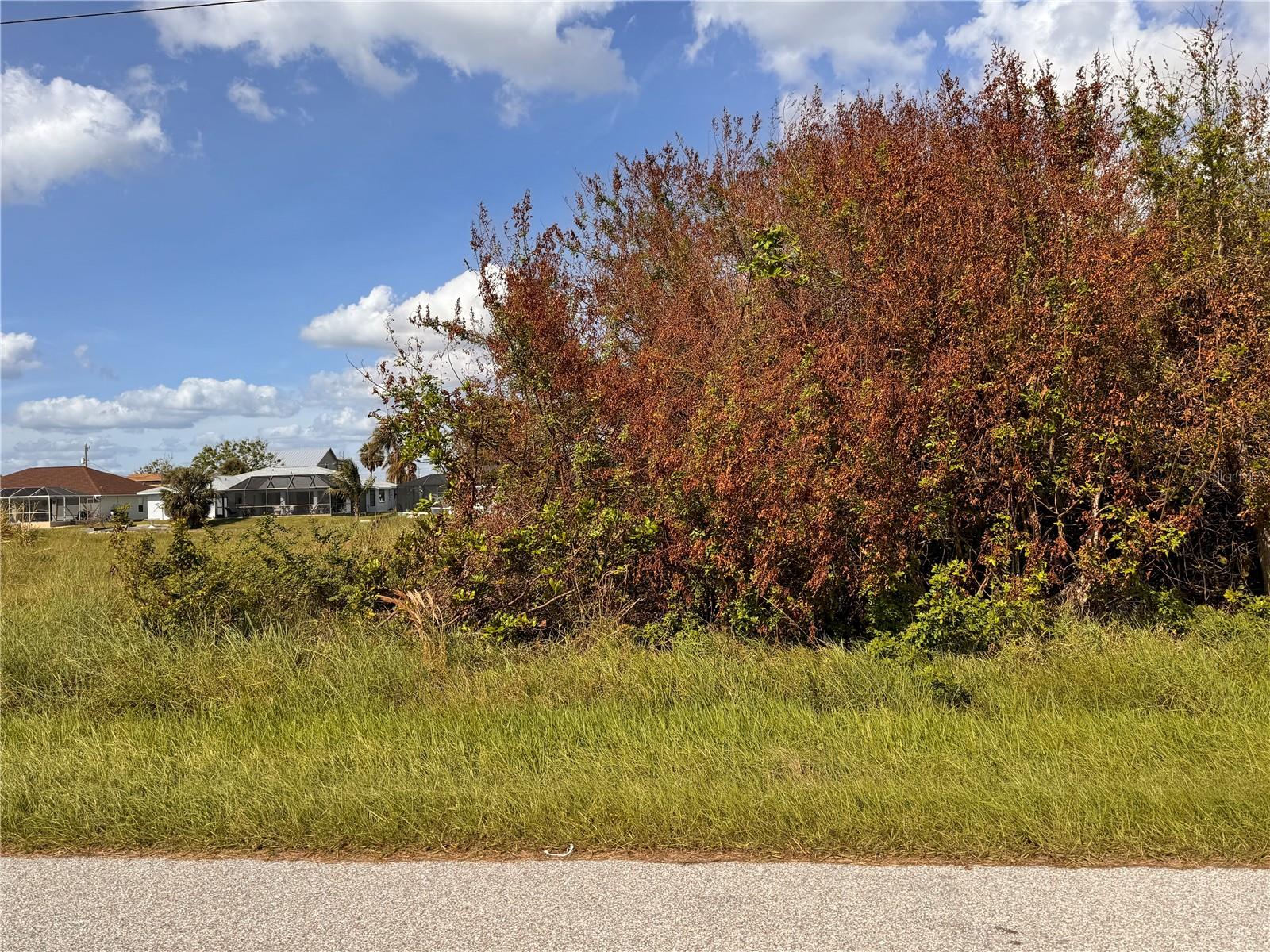 12422 QUINLAN AVE, PORT CHARLOTTE, FL, 33981